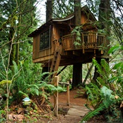 Tree House Point, USA