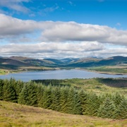 Galloway Forest Park, Dumfries