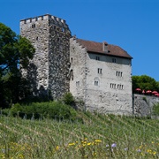 Castle of Habsburg