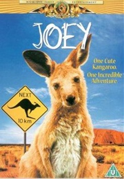 Joey (1997)