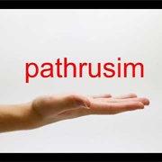 Pathrusim