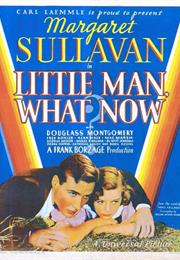 Little Man, What Now?