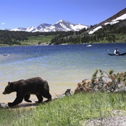 Adventure in Yosemite National Park, USA
