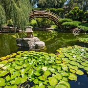 Huntington Library, Art Collections and Botanical Gardens