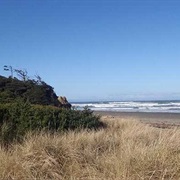 Brian Booth State Park, Oregon