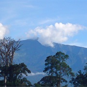 Equatorial Guinea: Pico Basile (9,869 Ft)