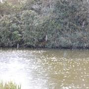 Wintery Mix/Rain & Snow Mixed