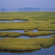 Parker River National Wildlife Refuge