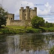 Trim Castle