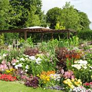 Hampton Court Flower Show