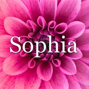 Sophia