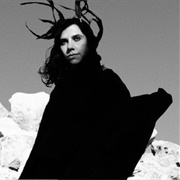 PJ Harvey-  the Last Living Rose