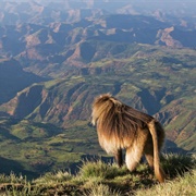 Simien Mountain National Park, Ethiopia