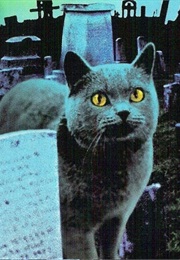 Stephen King's Pet Sematary: Stephen King Territory (2006)