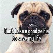 Can't Take a Selfie