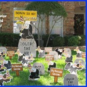 Birthday Lawn Surprise