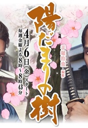 Hidamari No Ki (2012)