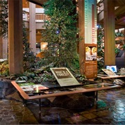 World Forestry Center