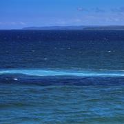 Gentle or Moderate Breeze