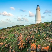 Cape Willoughby Lighthouse