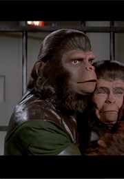 Roddy Mcdowall in Planet of the Apes (1968)