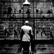 "Not About Nightingales" - Tennessee Williams