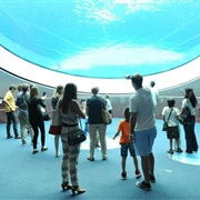 Phillip and Patricia Frost Museum of Science