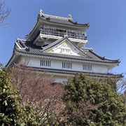 Gifu Castle - Japan