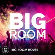 Big Room House