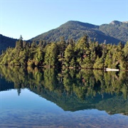 Los Alerces National Park - Argentina