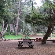 Visit the Tokai Arboretum