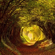 Halnaker, West Sussex