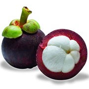 Purple Magosteen