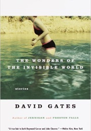 The Wonders of the Invisible World (David Gates)