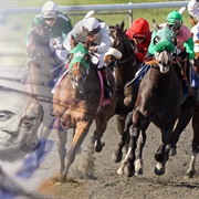 Place a Bet at the Races