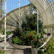 National Botanic Gardens, Dublin