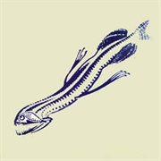 Aaron Dilloway & C. Spencer Yeh - The Squid