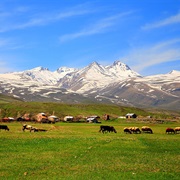 Aragats Province