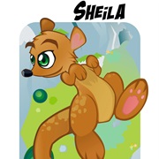 Sheila the Kangaroo
