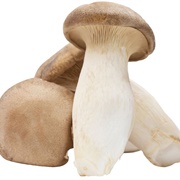 King Oyster Mushroom