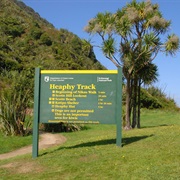 Heaphy Track