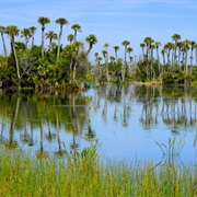 Orlando Wetlands Park
