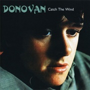 Catch the Wind - Donovan