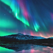Watch the Northern Lights