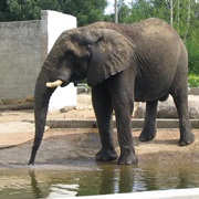 Tallinn Zoo