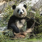 Zoo Berlin, Berlin, Germany