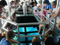 Key Largo Princess Glass Bottom Boat