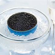 WILD BELUGA CAVIAR