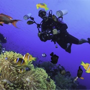 Diving Around Mauritius