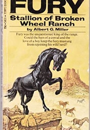 Fury:  Stallion of Broken Wheel Ranch (Albert G. Miller)
